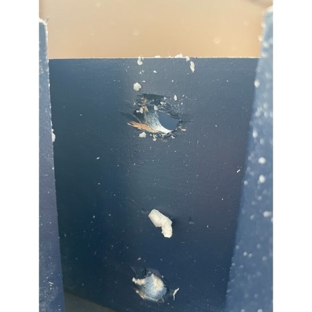 Customer image 23
