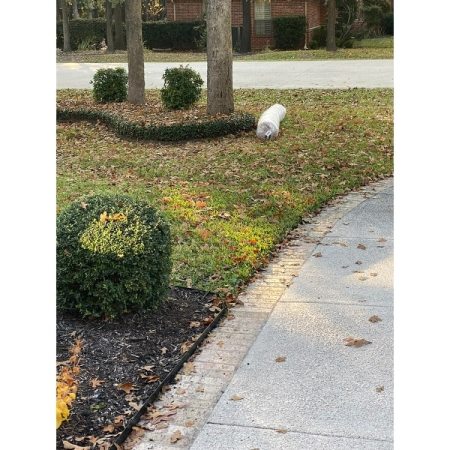 Customer image 12