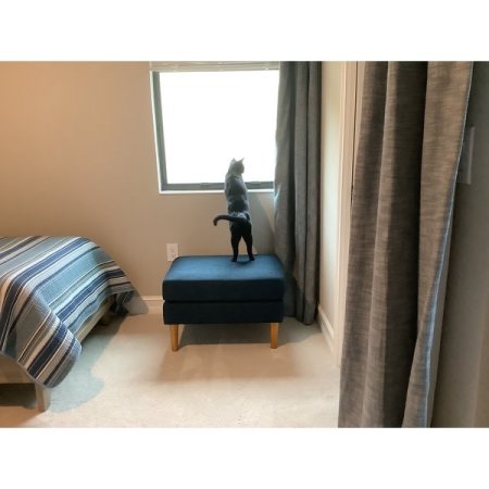 Customer image 15