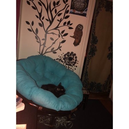 Customer image 79