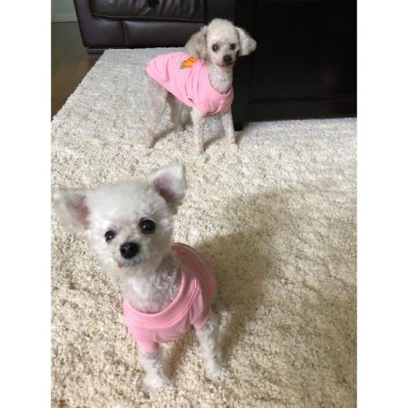 Customer image 681
