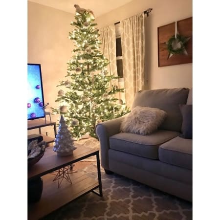 Customer image 47