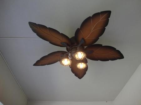 Customer image 45