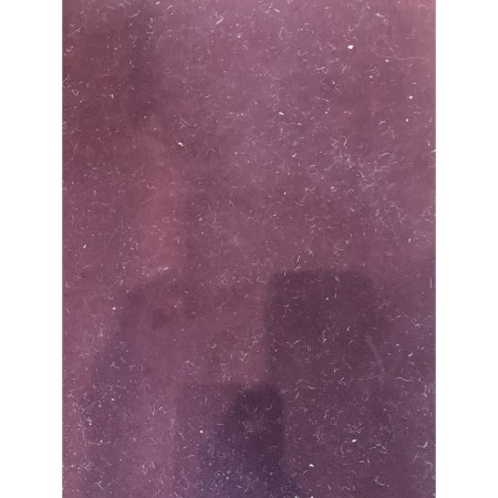 Customer image 5