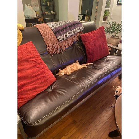 Customer image 7