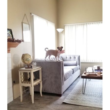 Customer image 418