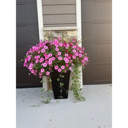 Customer image 5