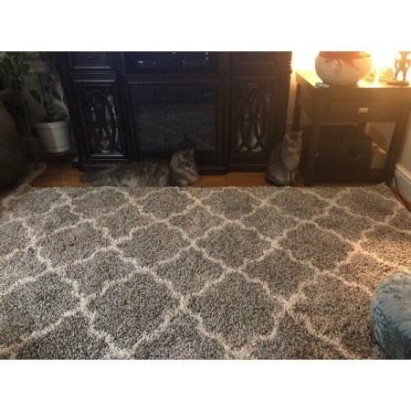 Customer image 245