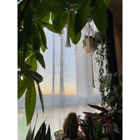 Customer image 4