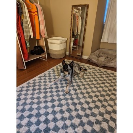 Customer image 110