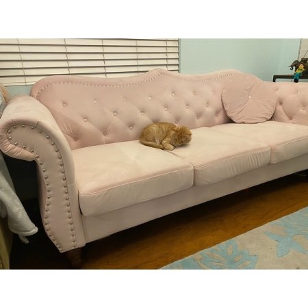 Customer image 6