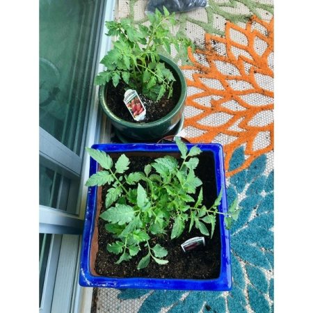 Customer image 1042