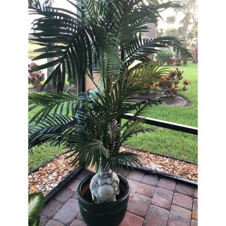 Customer image 146