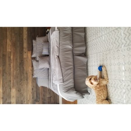 Customer image 504