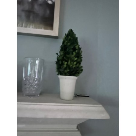 Customer image 1