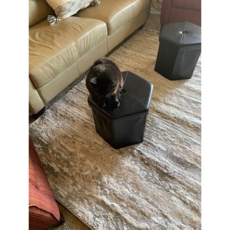 Customer image 51