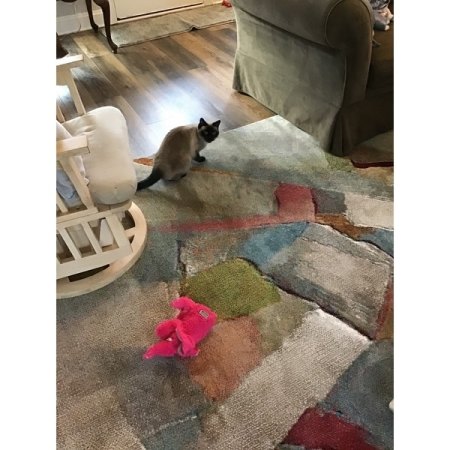 Customer image 102