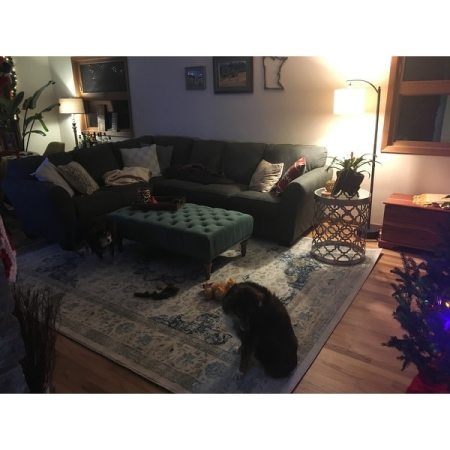 Customer image 1138