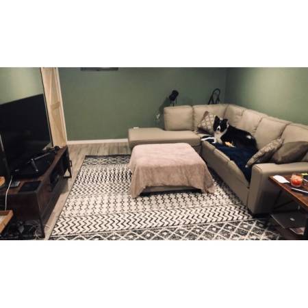 Customer image 641