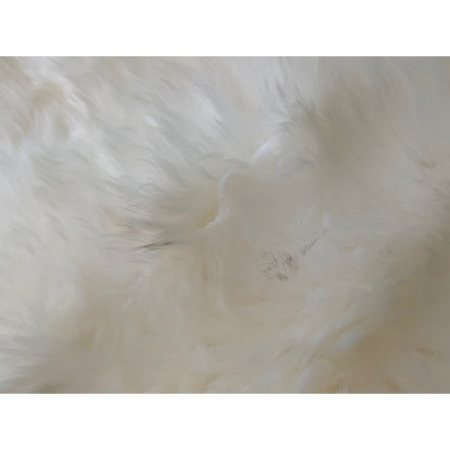 Customer image 219