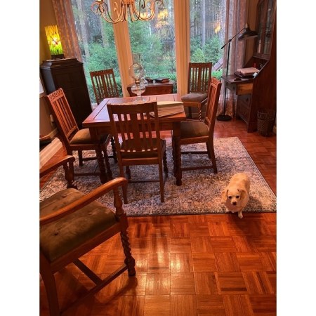 Customer image 8