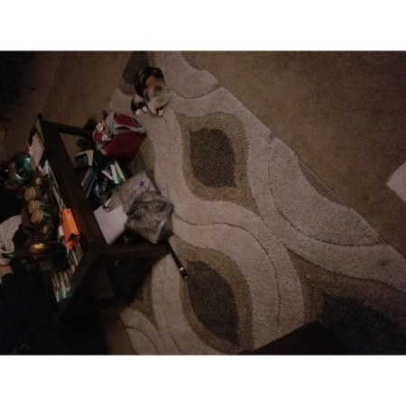 Customer image 115