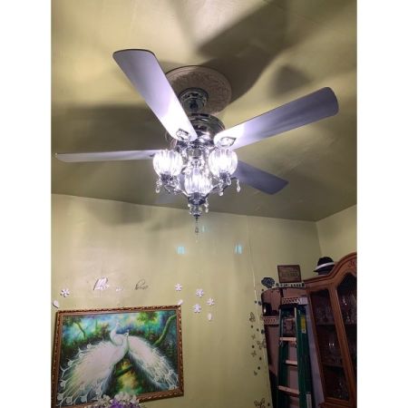 Customer image 12