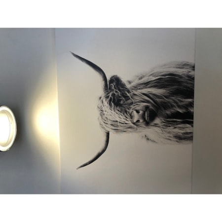 Customer image 22