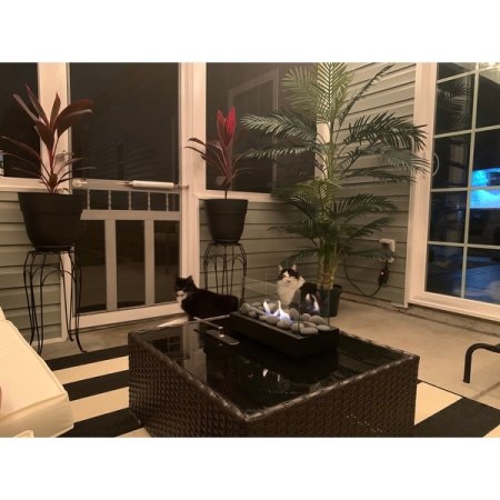 Customer image 158