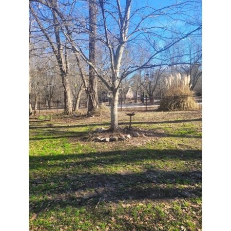 Customer image 1