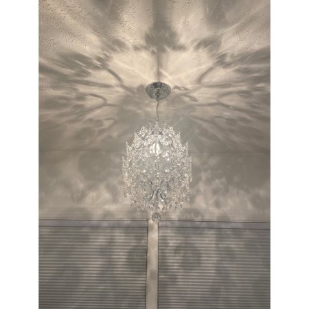 Customer image 40