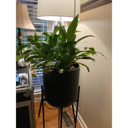 Customer image 3