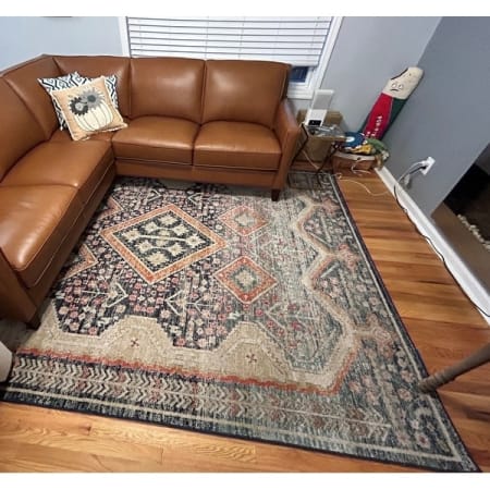 Customer image 43
