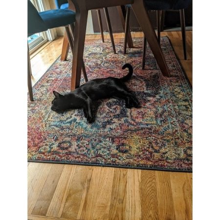 Customer image 4