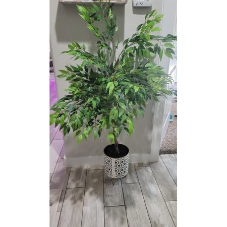 Customer image 11