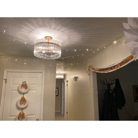 Customer image 13