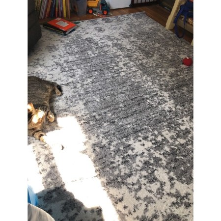 Customer image 544