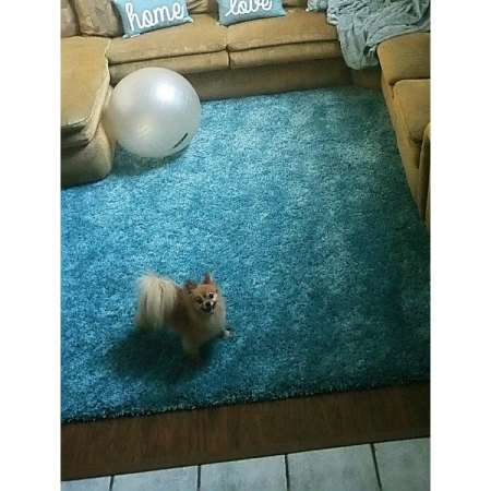 Customer image 1250