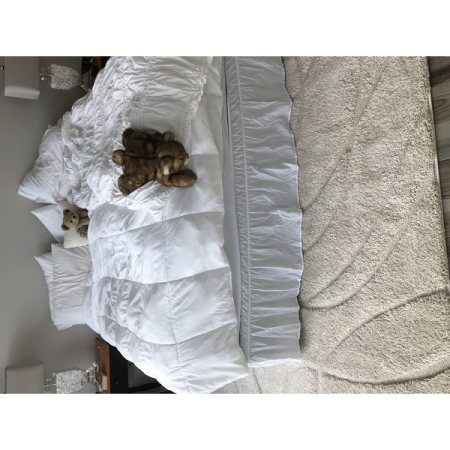 Customer image 509