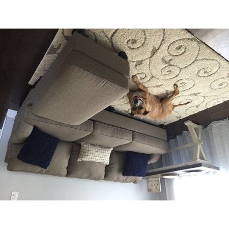 Customer image 650