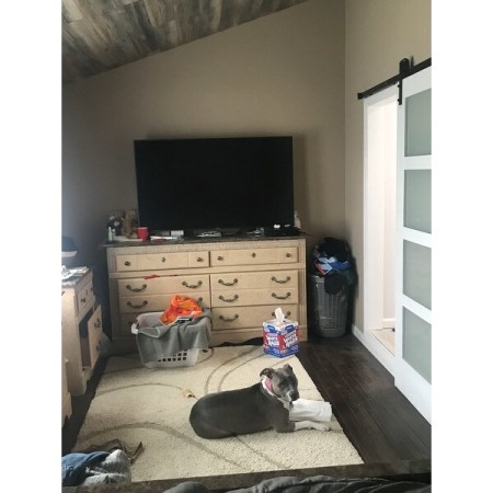 Customer image 534
