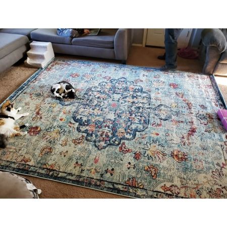 Customer image 245