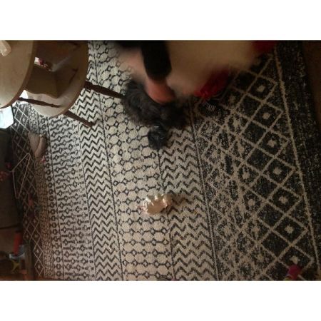 Customer image 451