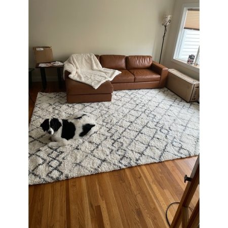Customer image 8