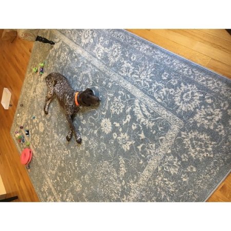 Customer image 1218