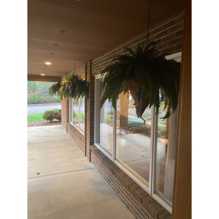 Customer image 7