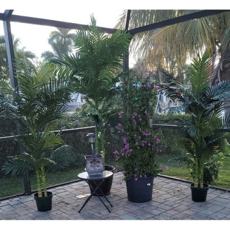 Customer image 123