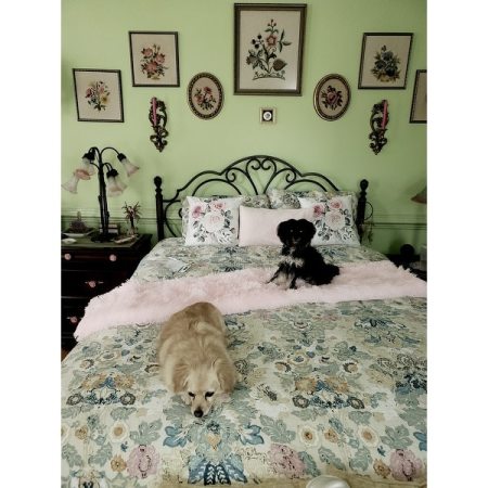 Customer image 23
