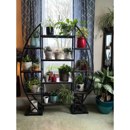 Customer image 1