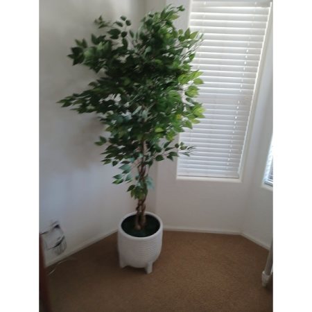 Customer image 39